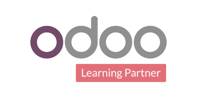 Official Odoo Partner ERP Solutions